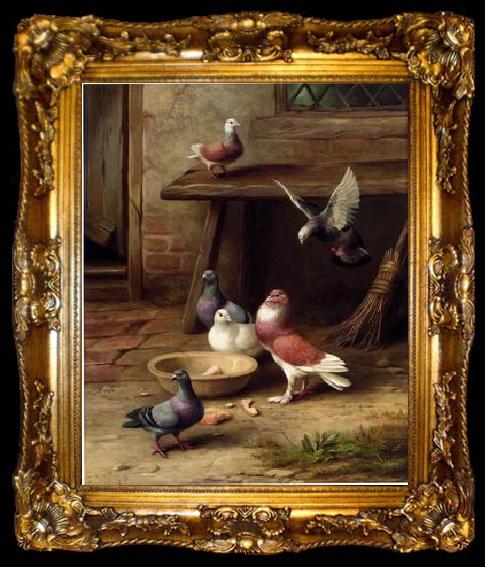 framed  unknow artist Pigeons 194, ta009-2